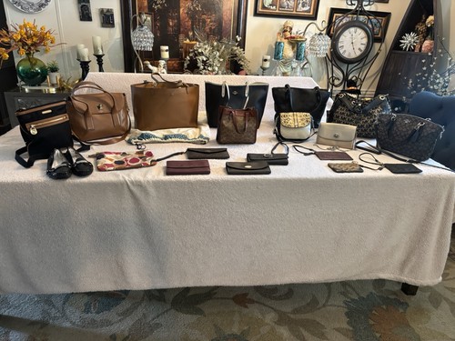 Project bag purse - bag-purse, lot
